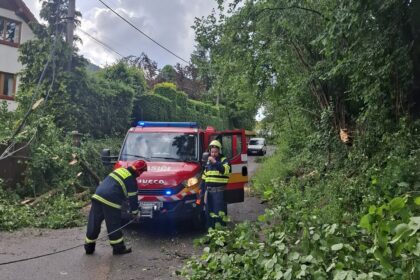 hazz